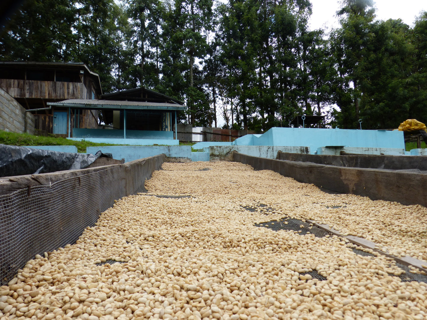 Filter: Kenya Kirinyaga Kii AB