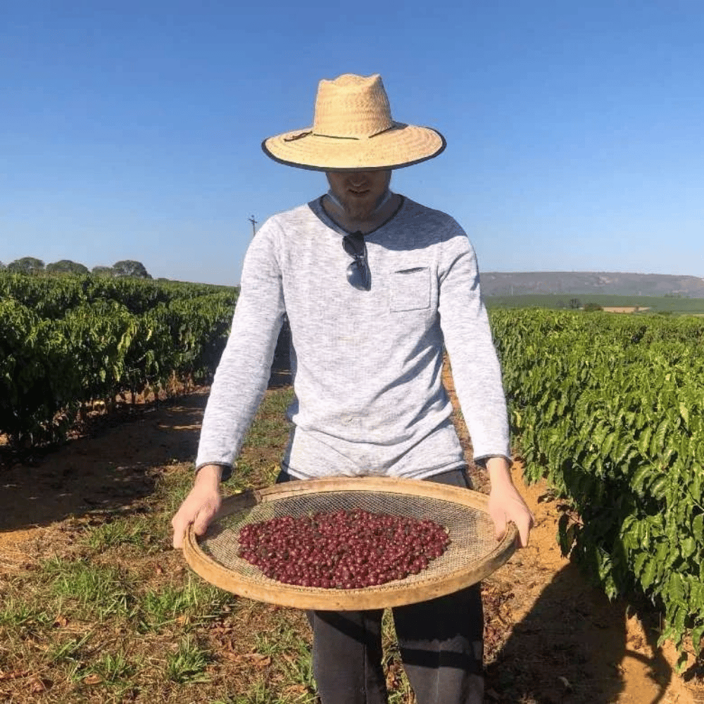 Espresso: Brazil Recreio Natural