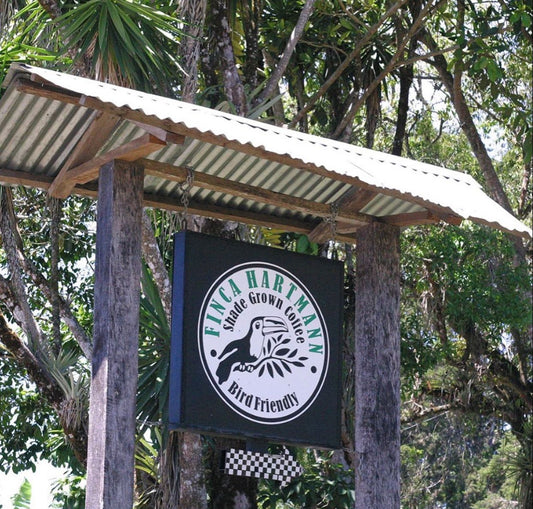 Special Series Filter: Panama Hartmann Natural Pink Bourbon