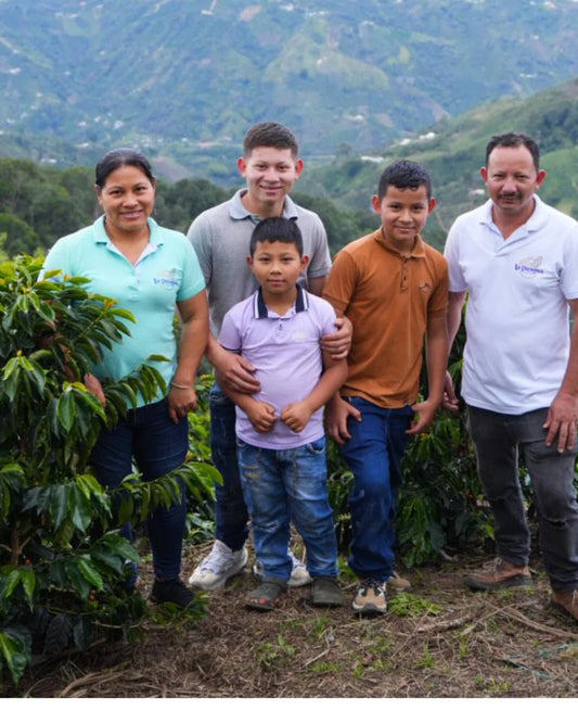 Espresso: Colombia Huila La Piragua Natural Striped Bourbon