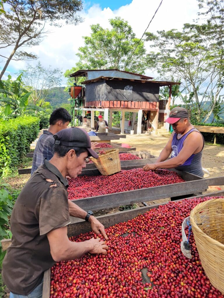 Filter: Nicaragua Nueva Segovia El Naranjal Natural