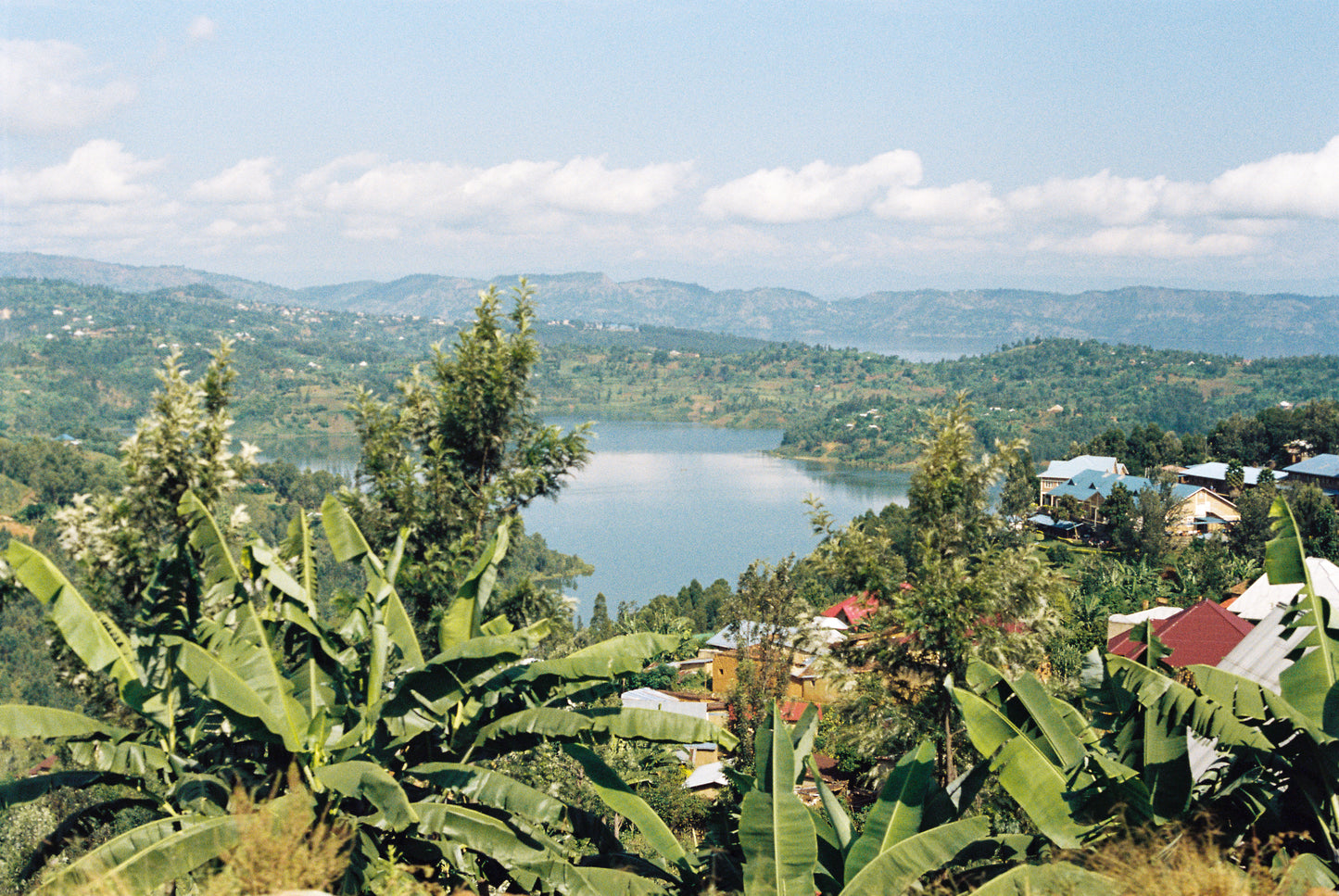Filter: Rwanda Nyamasheke Karengera Washed