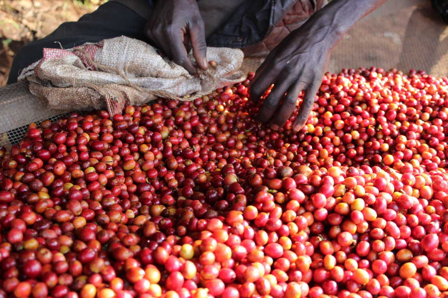 Espresso: Burundi Masha washed