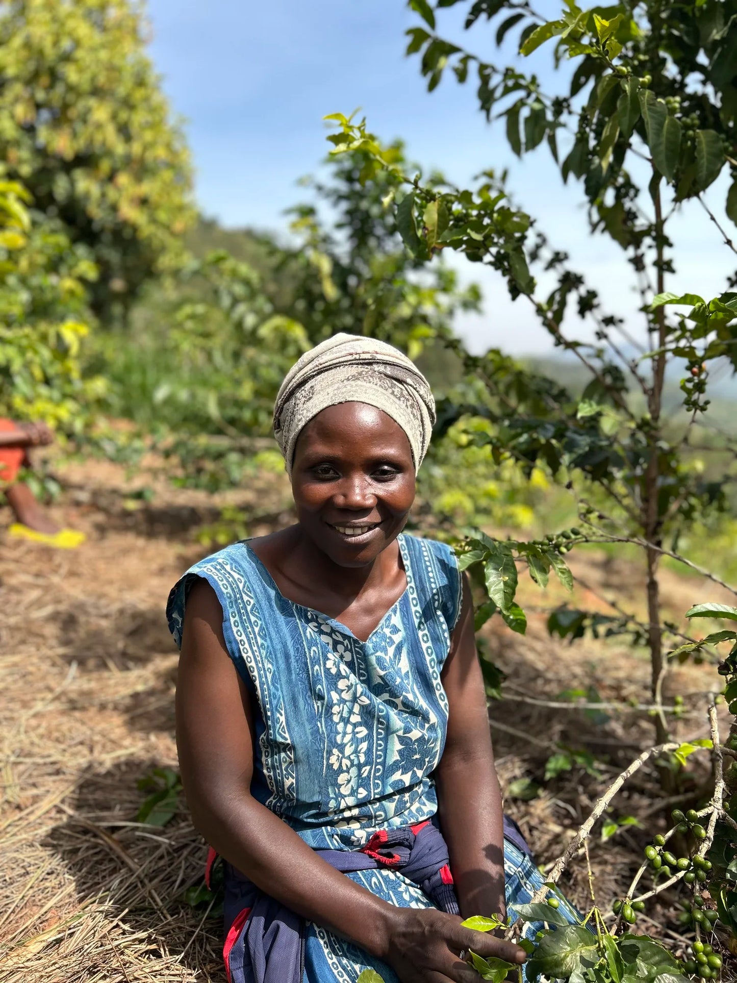 Espresso: Rwanda Rushashi Rutabo lot Natural