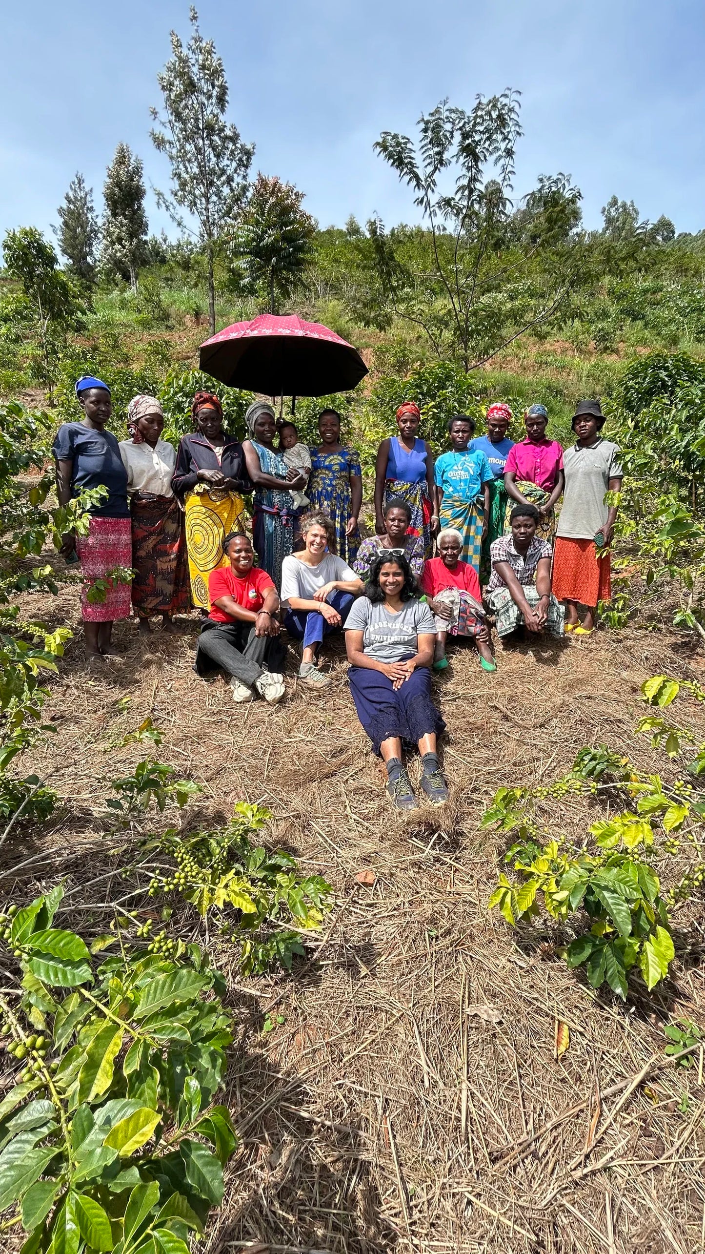 Espresso: Rwanda Rushashi Rutabo lot Natural