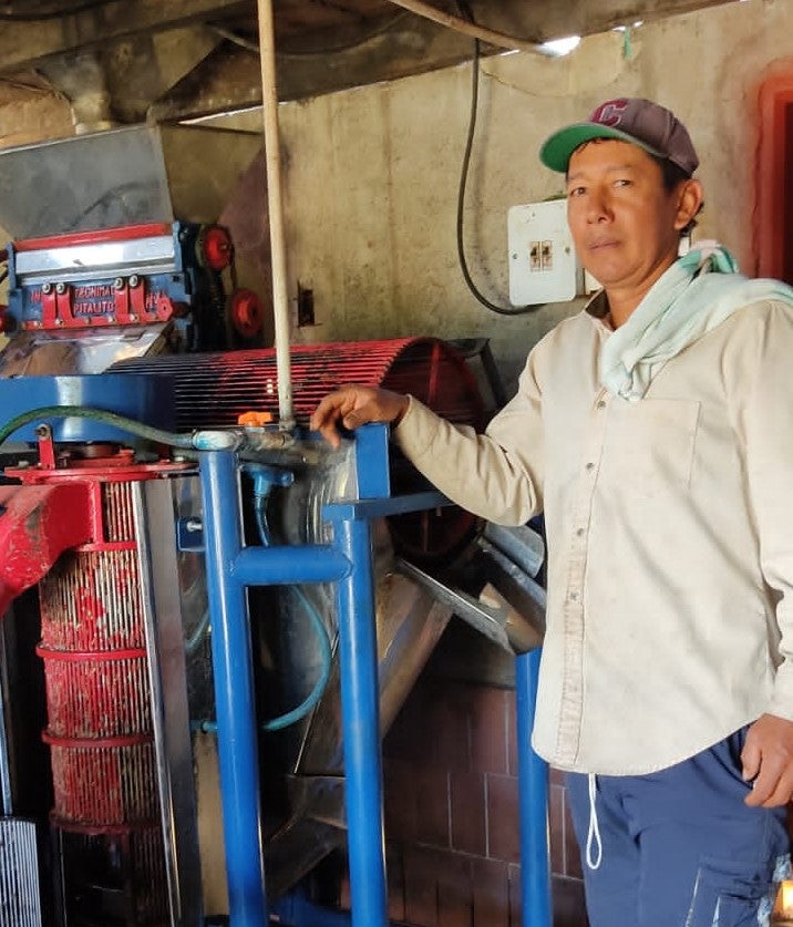 Espresso: Colombia Wilmer Cubillos Washed Tabi