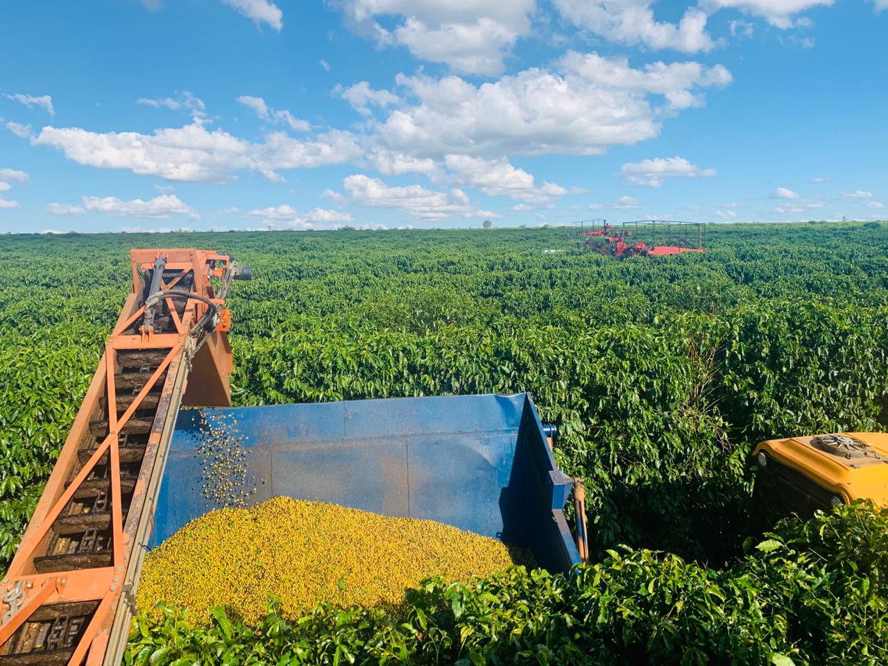Espresso: Brazil Minas Gerais Rio Brilhante Natural