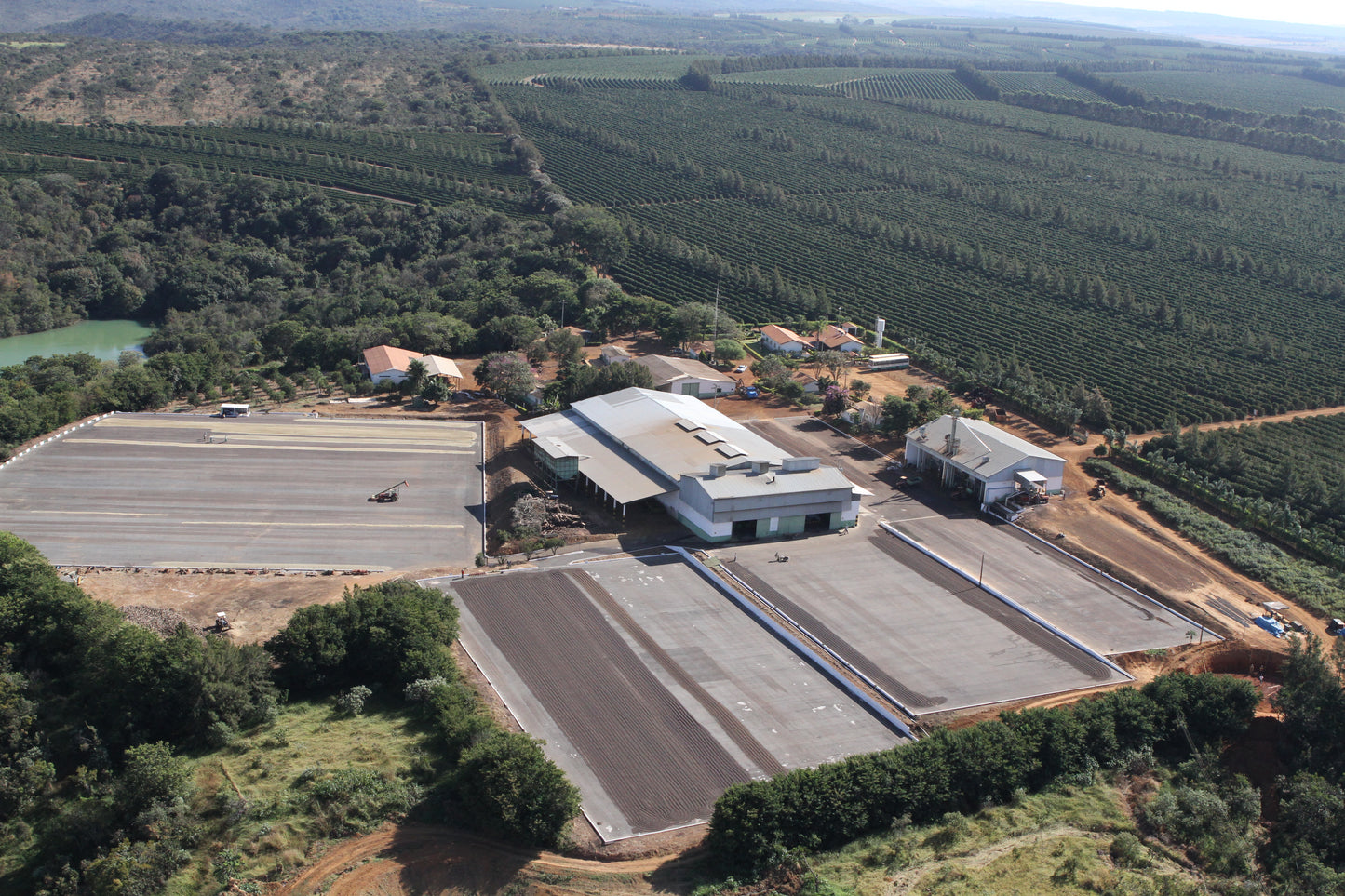 Espresso: Brazil Minas Gerais Rio Brilhante Natural