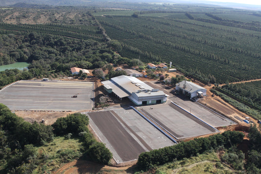 Espresso: Brazil Minas Gerais Rio Brilhante Natural