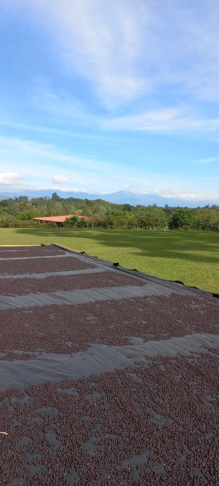 Filter: Colombia El Silencio Natural