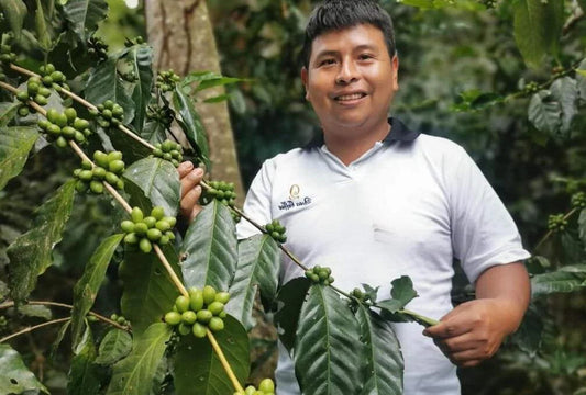 Espresso: Peru Cajamarca El Paraiso