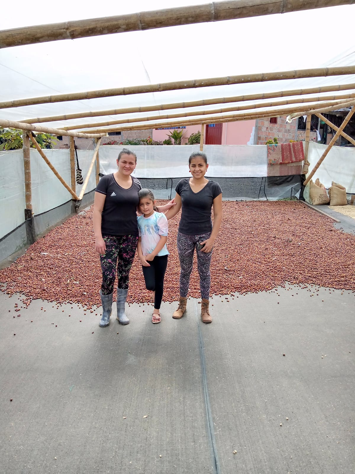 Filter: Colombia Huila Villa Pastora Natural Pink Bourbon