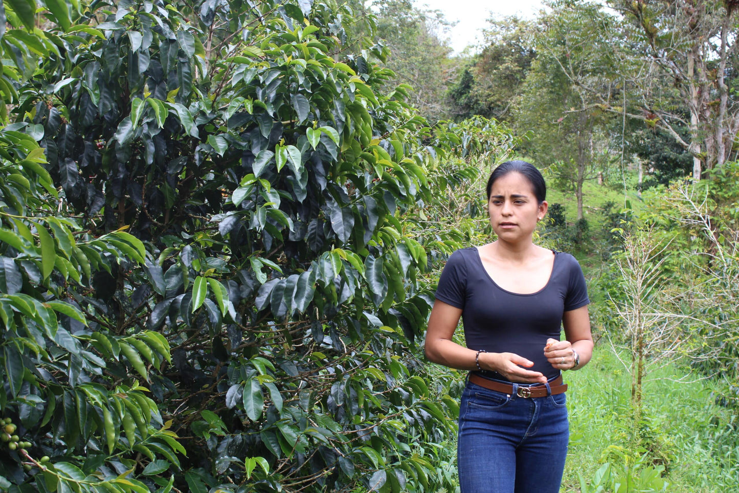 Special Series Filter: Colombia Yulieth Mora Yeast Inoculated Ombligon